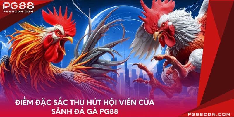 Điểm đặc sắc thu hút hội viên của sảnh đá gà PG88