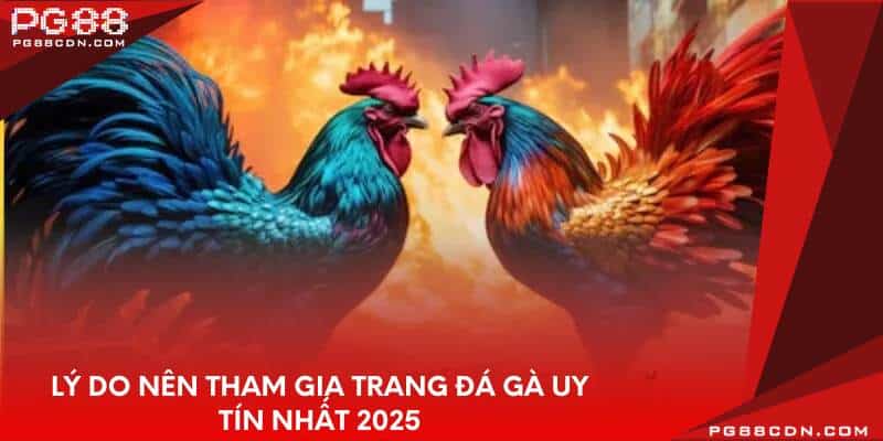 Lý do nên tham gia trang đá gà uy tín nhất 2025