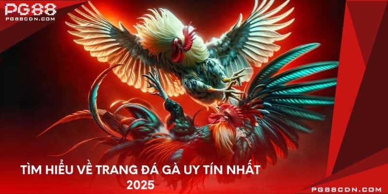 Tìm hiểu về trang đá gà uy tín nhất 2025