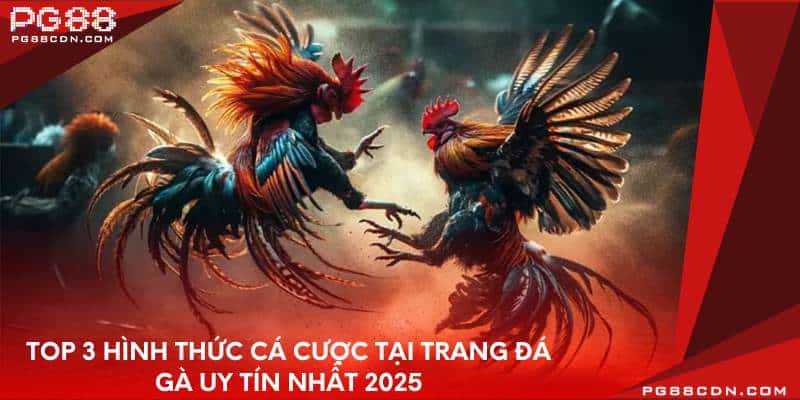 Top 3 hình thức cá cược tại trang đá gà uy tín nhất 2025