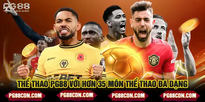 Thể thao PG88 với hơn 35 môn thể thao đa dạng